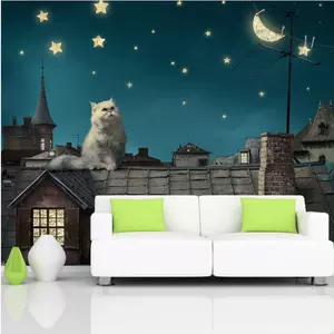 星空房猫 新人首单立减十元 22年10月 淘宝海外