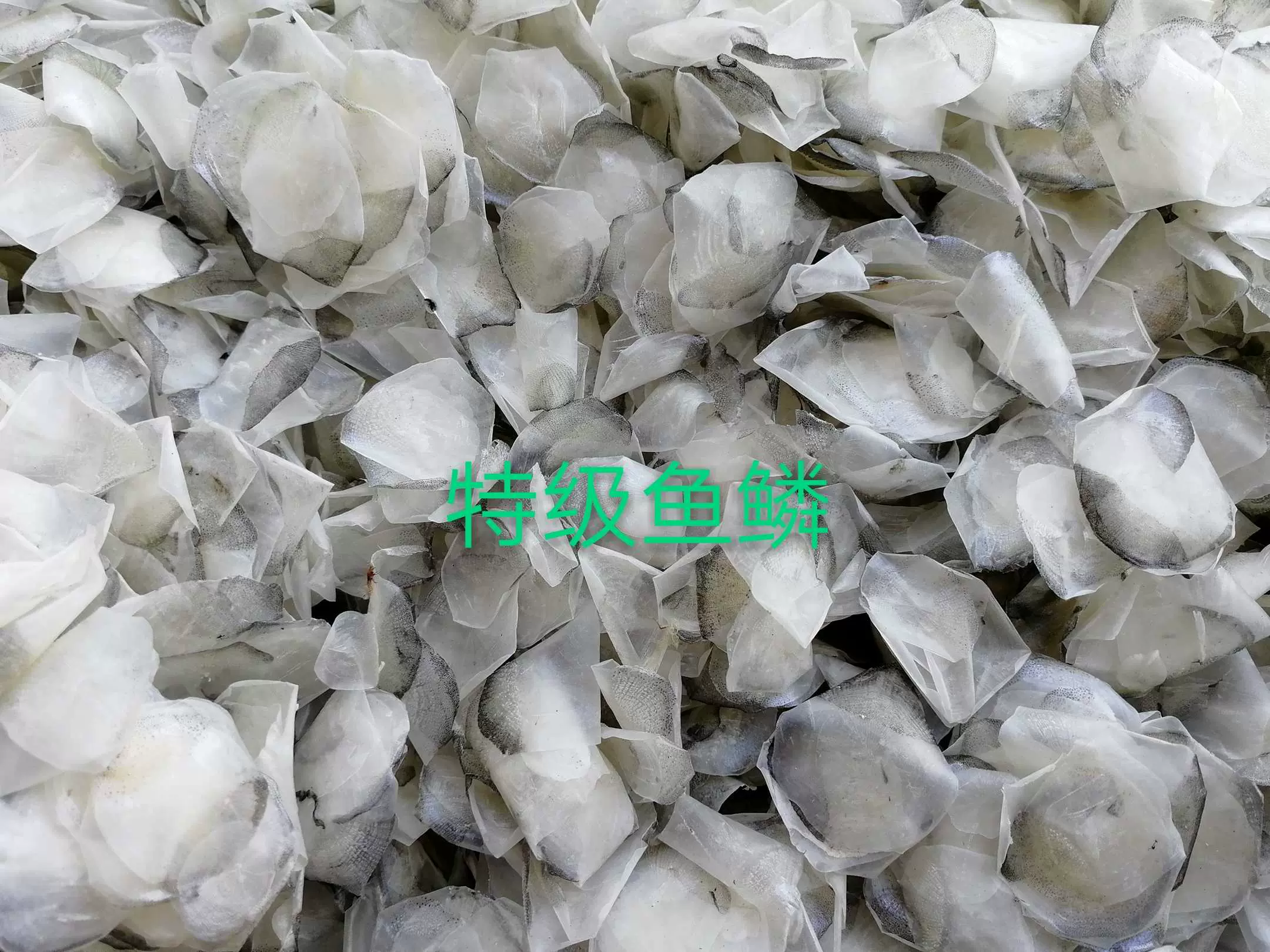 鱼鳞鱼冻 新人首单立减十元 21年10月 淘宝海外