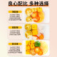 Qin evening fragrance kumquat lemon passion fruit tea green orange lemon slices freeze-dried cold brew fruit tea tea bag brewed with water