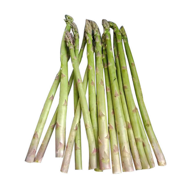 Asparagus seedlings Asparagus seedlings roots with soil, white green asparagus purple fruit Asparagus potted plant garden balcony four seasons vegetable seedlings
