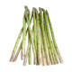Asparagus seedlings Asparagus seedlings roots with soil, white green asparagus purple fruit Asparagus potted plant garden balcony four seasons vegetable seedlings
