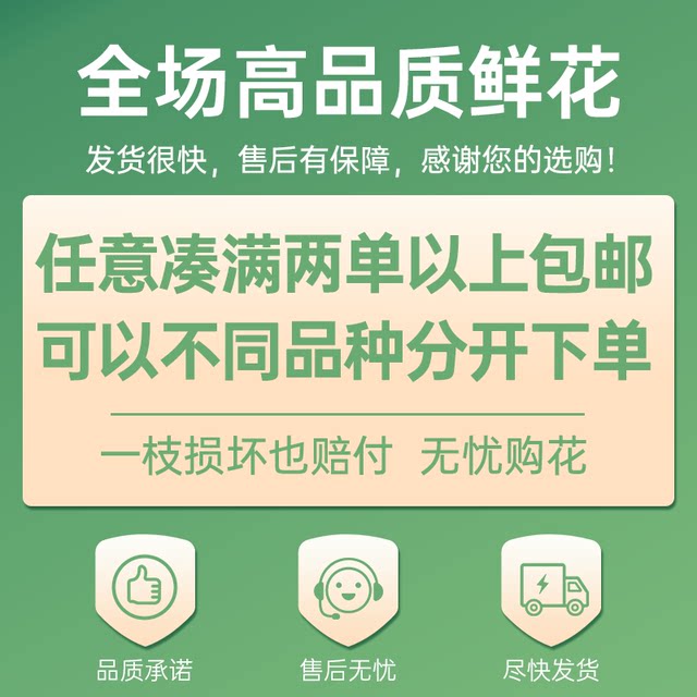 Yunshe Town Store Treasure, Pink Diamond Single-Head Carnation, Any combination of 2 or more cold chains