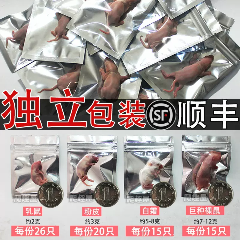 冷冻小白鼠 新人首单立减十元 2021年12月 淘宝海外