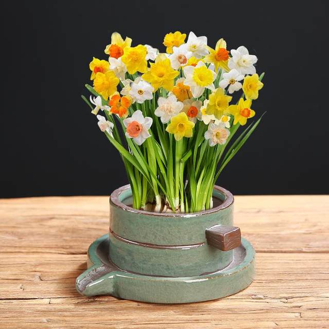 Polycin Boil Simple Ceramics Pot Rough Pottery Pot Home Horticultural Plactic Potten Potted Ge Kiln Water Swing