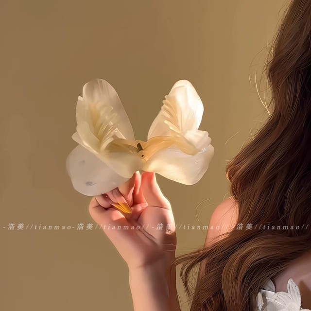 Snow mist butterfly~Gentle bright gauze butterfly exquisite clip female plump hair shark hair clip hair accessories
