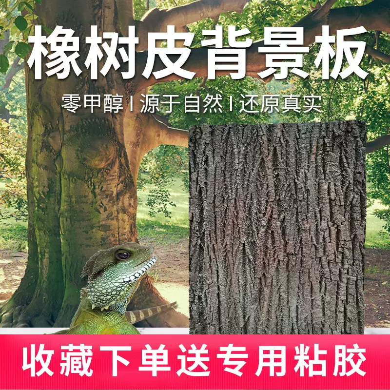 爬虫箱背景板3-新人首单立减十元-2021年11月淘宝海外