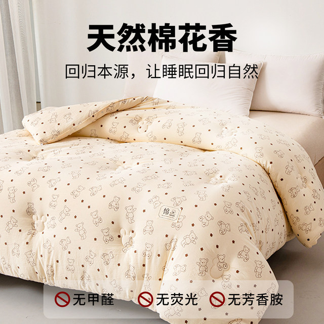 Xinjiang cotton quilt core with quilt cover spring and autumn quilt winter thickened warm quilt student dormitory single quilt