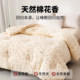 Xinjiang cotton quilt core with quilt cover spring and autumn quilt winter thickened warm quilt student dormitory single quilt