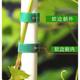 Plant straps bundled tie tie hot plant gardening can be reused to climb upwards and fix them without hurting green plants