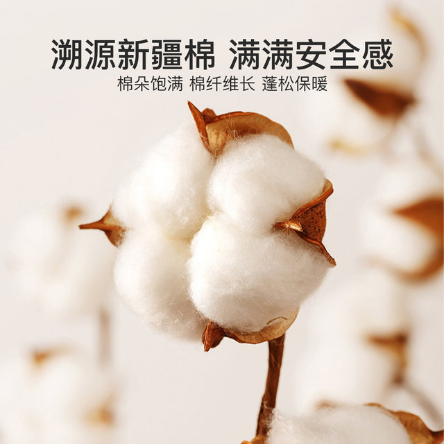 Jieliya Xinjiang cotton quilt is winter thickened and warm pure cotton quilt
