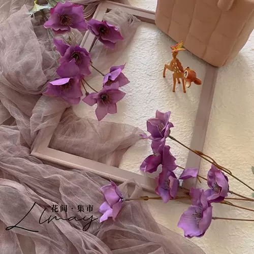 紫色水仙花 新人首单立减十元 22年1月 淘宝海外 紫色水仙花 新人首单立减十元 22年1月 淘宝海外