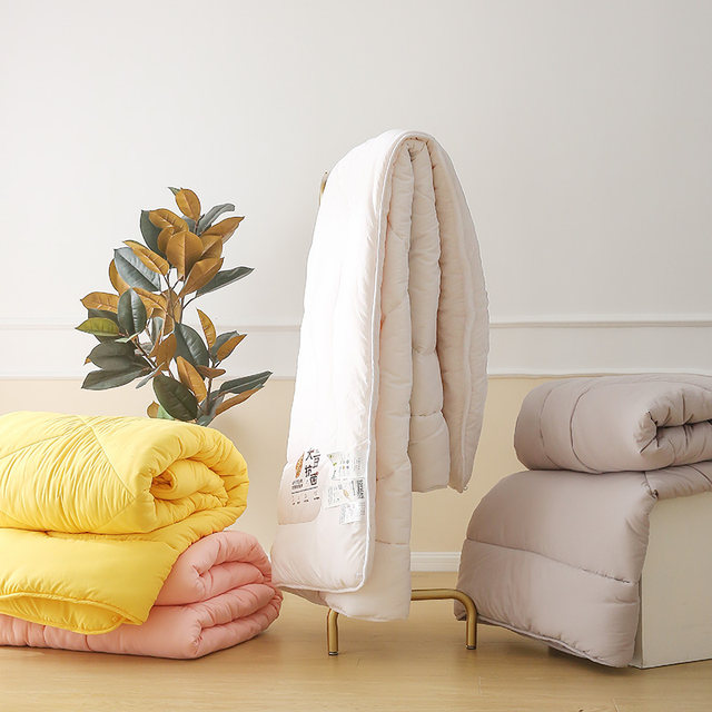 2023 quilt core winter quilt thickened 10Jin [Jin equals 0.5kg] soy protein maternal and infant grade touch comfortable and skin-friendly bedding
