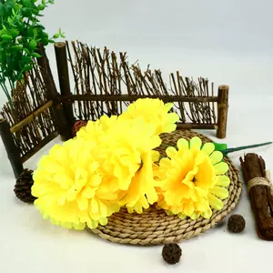 五节假花 新人首单立减十元 22年3月 淘宝海外