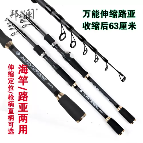 碳素万能竿 新人首单立减十元 22年2月 淘宝海外