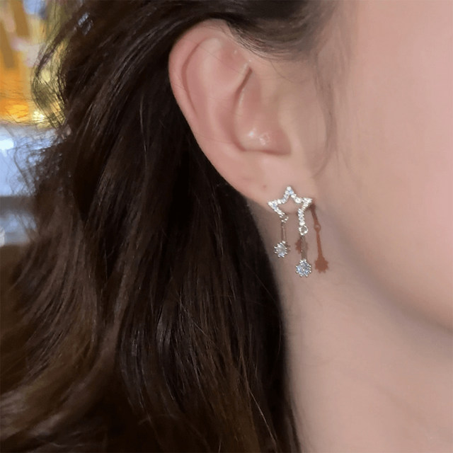 
Super sparkling star zircon earrings for women 2025 new popular fashion niche design earrings high-end temperament earrings