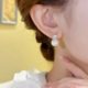 Autumn and winter pearl rhinestone earrings for women 2024 new hot niche high-end design ear buckle light luxury ear decoration