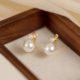 Autumn and winter pearl rhinestone earrings for women 2024 new hot niche high-end design ear buckle light luxury ear decoration