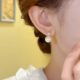 Autumn and winter pearl rhinestone earrings for women 2024 new hot niche high-end design ear buckle light luxury ear decoration