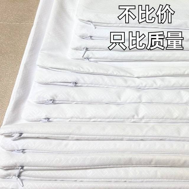 Pillow Core Inner Crystal Crystal Crypto Thick Zipping Dust Pillow Core Inner Core Hotel Pillow Sands Sofa Cycling Pillow Case