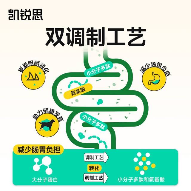 Kairuis dog food is better than Bear Tedipi Beauty Bian Shiba Inu Golden Ratabulu Paradon puppies, 40jin [Jin is equal to 0.5 kg]
