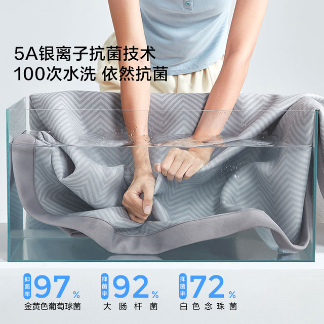 Lin's Little Cold Shield Ice Silk Cool Mat Class A Maternal and Baby Class Student Dormitory Single Washable Foldable 2025 New Model