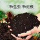 Nutrient soil for flower cultivation, general vegetable planting soil, flower soil, vegetable planting soil, coconut brick fertilizer, household soil