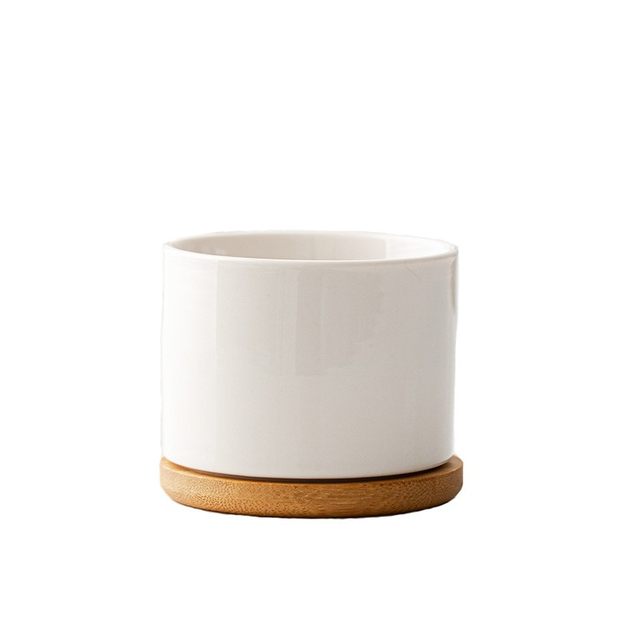 Ceramics Polynut Basin Creative Interior White Pot Modern Home Gardening Cross -border White Porcelain Basin 2024