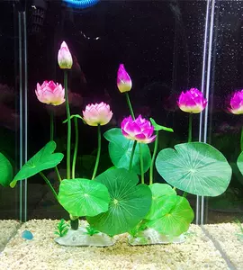 水草植物莲花 新人首单立减十元 22年9月 淘宝海外