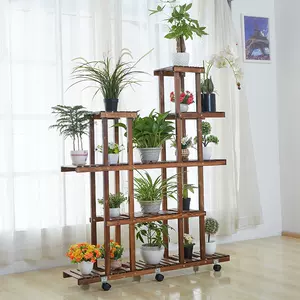 户外吊盆植物 新人首单立减十元 22年3月 淘宝海外