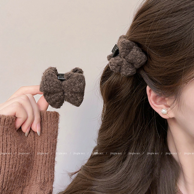 Bangs small grabber female 2025 new high-end half-tied hairpin side clip side hairpin princess head clip headwear