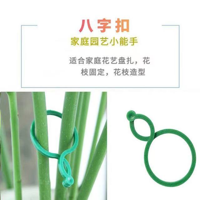 Gardening 8-character buckle multi-function fixing clip planting vine fixing clip plant climbing vine bundling support tie tie branches