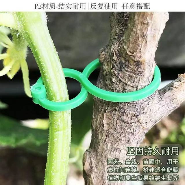 Gardening 8-character buckle multi-function fixing clip planting vine fixing clip plant climbing vine bundling support tie tie branches