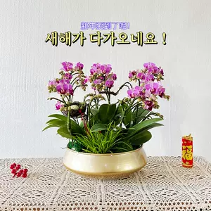 Od0wmfes8k0xum Od0wmfes8k0xum