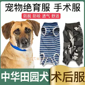 狗狗术后防舔服 新人首单立减十元 22年4月 淘宝海外