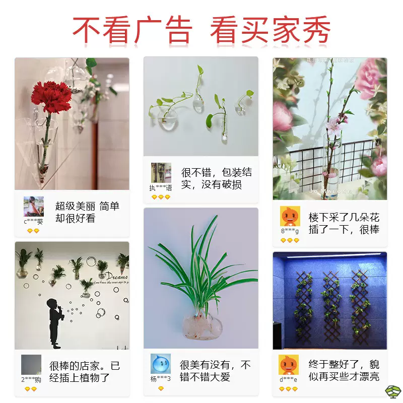 挂墙水培植物容器玻璃 新人首单立减十元 21年11月 淘宝海外