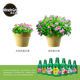 Heidi's Garden Meloke Nutrition Solution General Succulent Rose Hydrangea Flower Potted Green Plant Fertilizer