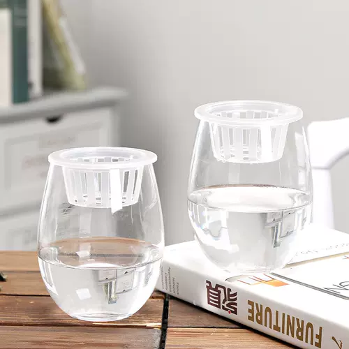 花盆盆栽花器花瓶摆件 新人首单立减十元 22年2月 淘宝海外