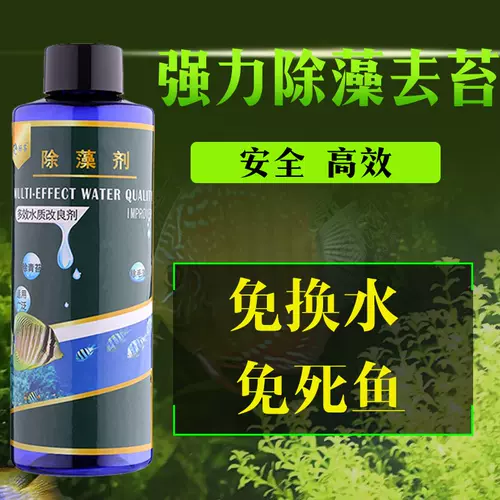 鱼缸绿毛藻 新人首单立减十元 22年2月 淘宝海外
