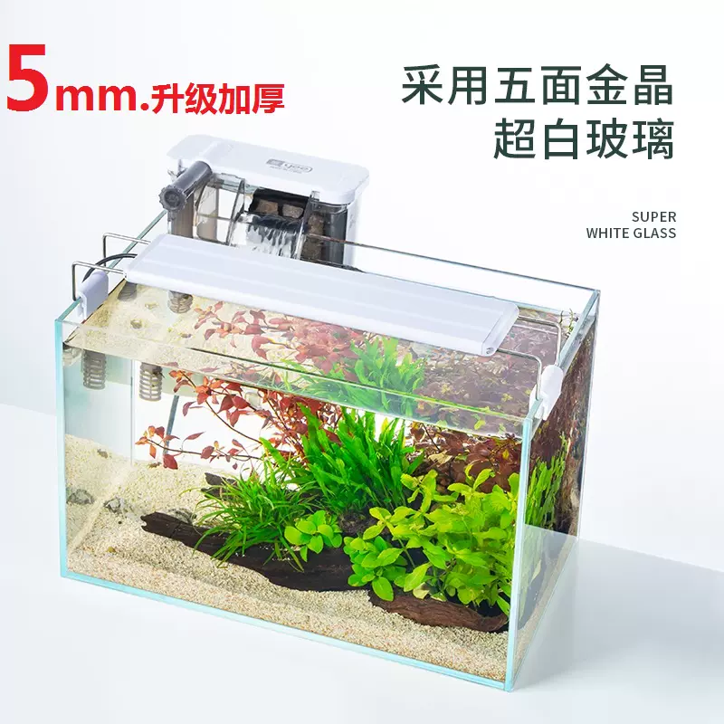 斗鱼鱼缸六角恐龙超白玻璃孔雀鱼桌面生态小型金鱼造景