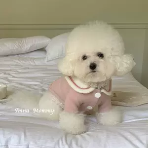 小型犬衣服ins - Top 500件小型犬衣服ins - 2024年3月更新- Taobao