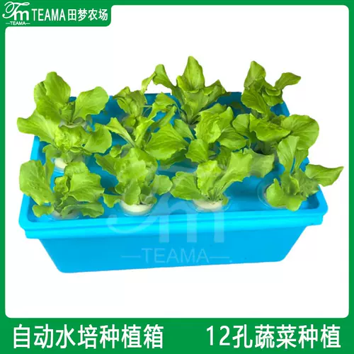 水耕栽培花盆 新人首单立减十元 22年2月 淘宝海外