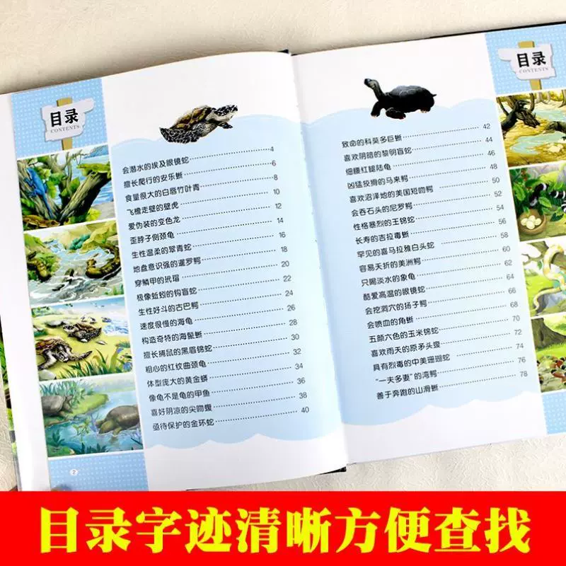 爬行鳄龟 新人首单立减十元 22年1月 淘宝海外
