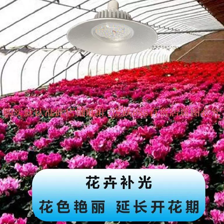 全光谱日光植物生长灯 新人首单立减十元 21年11月 淘宝海外