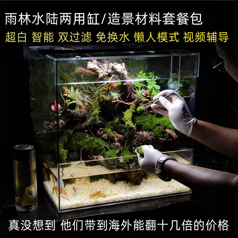鱼池造景diy 新人首单立减十元 21年11月 淘宝海外 鱼池造景diy 新人首单立减十元 21年11月 淘宝海外