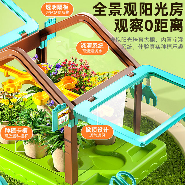 Sunroom planting children's flower room plant observation small potted science girl toys handmade diy birthday gift
