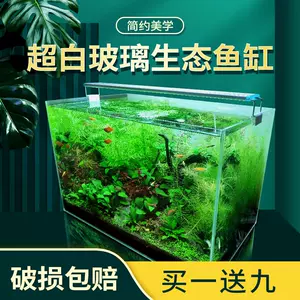 鱼缸装饰造景小型真水草 新人首单立减十元 22年10月 淘宝海外