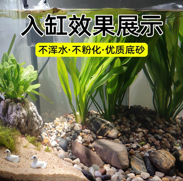 Natural river sand, stream sand, pebbles, native aquarium, fish tank, water plant tank, succulent pavement, pebble filter, pebbles