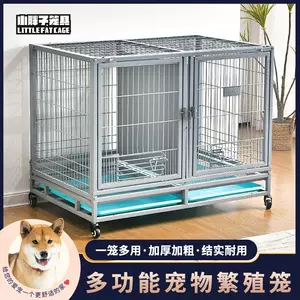 双门犬 新人首单立减十元 22年10月 淘宝海外