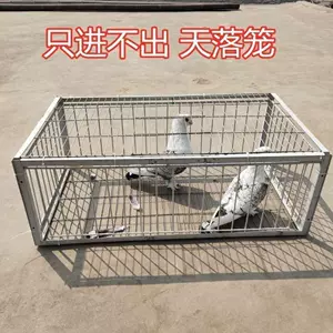 捕网捕鸟 新人首单立减十元 22年11月 淘宝海外