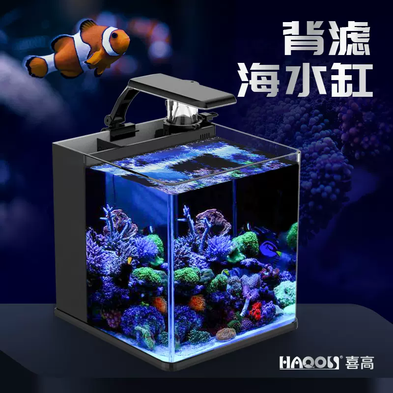 海水缸设备珊瑚 新人首单立减十元 21年11月 淘宝海外